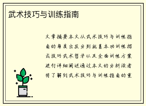 武术技巧与训练指南